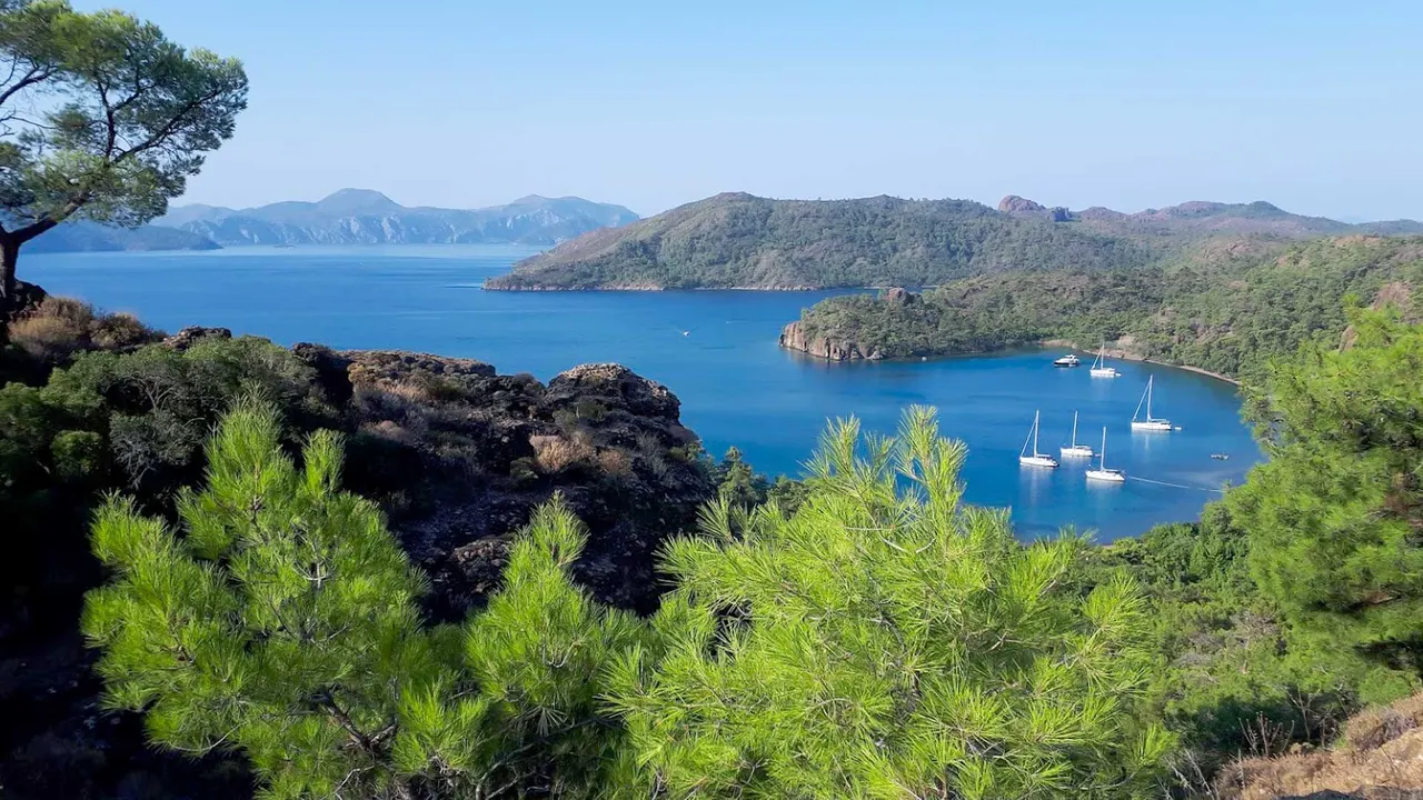 Çam Ormanı ve Turkuaz Koylar